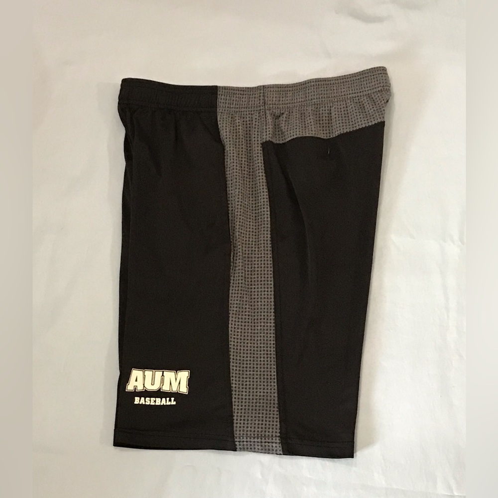 Mens Black & Gray Adidas Climacool Dri-Fit Athletic Shorts
Gym
AUM Baseball - Picture 14 of 15